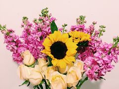-秦美花卉(天朗·莱茵小城2期店)
