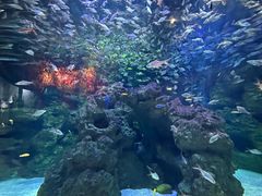 -成都浩海立方海洋公园