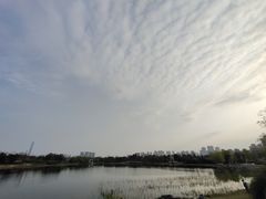 -武汉园博园(武汉自然博物馆)