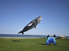 -秦皇岛阿尔卡迪亚滨海度假酒店