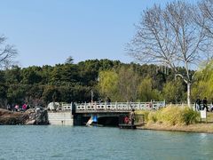 -宜兴龙背山森林公园