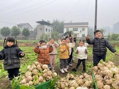 -宾果蒙特梭利托育儿童之家幼儿园(爱琴海店)