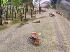 -欢乐海岸海洋奇梦馆
