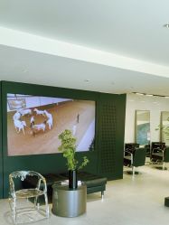 -付军剪艺JF ProSalon
