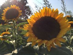 -艾溪湖湿地公园