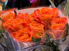 -盒马鲜生(红莲店)