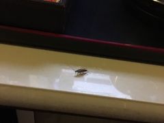 酒店书桌-龙达温泉生态城