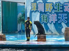 -深圳野生动物园