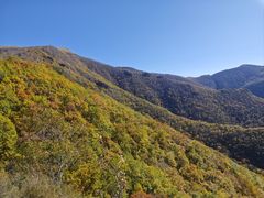 -灵山