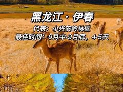 -阿尔山市大兴安岭奥伦布坎景区