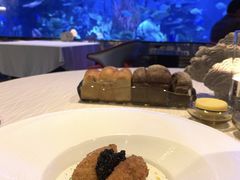 -迪拜帆船酒店海底餐厅