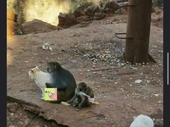 -昆明动物园