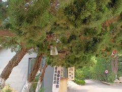-烟台山景区