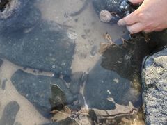 -长江澳风力发电景观区