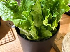 -九田家黑牛烤肉(芜湖万达店)