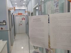 -纳吉亚猫专科动物诊疗中心(蒋宅口分院)