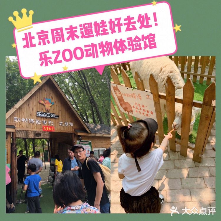 乐ZOO亲子游必去，北京周末娃放电好去处！