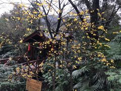 -天目湖御水温泉·度假酒店