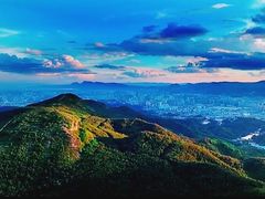-长虫山生态公园风景林
