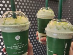 -茉酸奶(春熙路店)