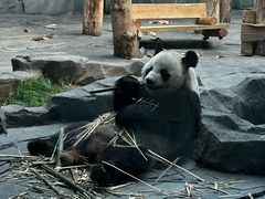 -秦皇岛野生动物园