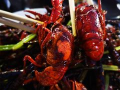 -红钳侠小龙虾·烧烤(中赢康康谷店)