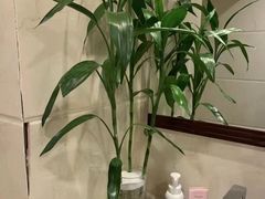 -御境·SPA养生会馆
