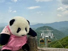 -栾川竹海野生动物园