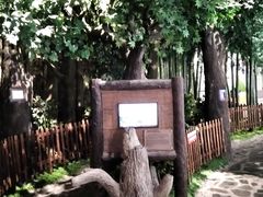 -中国杭州低碳科技馆