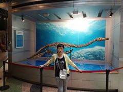 -自贡恐龙博物馆