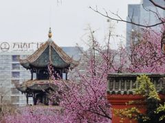 -望江楼公园