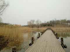-马家湾湿地公园