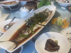 -沪碟·精菜坊(闵行店)