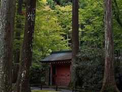 -三千院