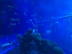 -成都浩海立方海洋公园