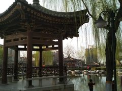 -西安乐游原