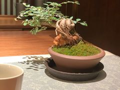 -王府茶楼茶宴·创意菜(朝阳公园店)
