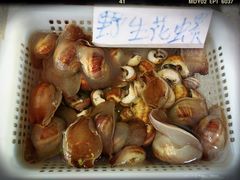 野生花螺-外伶仃岛海鲜市场