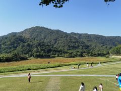 -风云岭森林公园