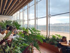 -Seesaw Coffee(朝阳大悦城店)