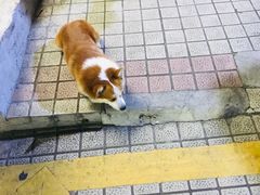 -小梁哥云吞面(黄贝岭店)