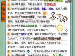 -荔康动物医院(康王北路店)