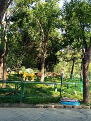 -大望京儿童游乐场