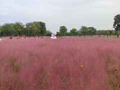 -汉长安城未央宫国家考古遗址公园