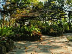 -东莞植物园