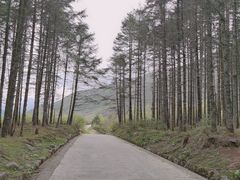 -石棉县孟获城