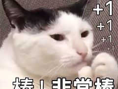 -无界眼镜MaxLess(滨江星光大道店)