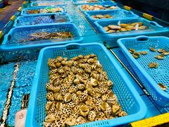 -天然居·漳港海鲜·海景餐厅(南澳总店)