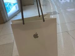 -Apple零售店(济南恒隆广场店)