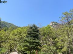 -秦岭终南山世界地质公园翠华山景区